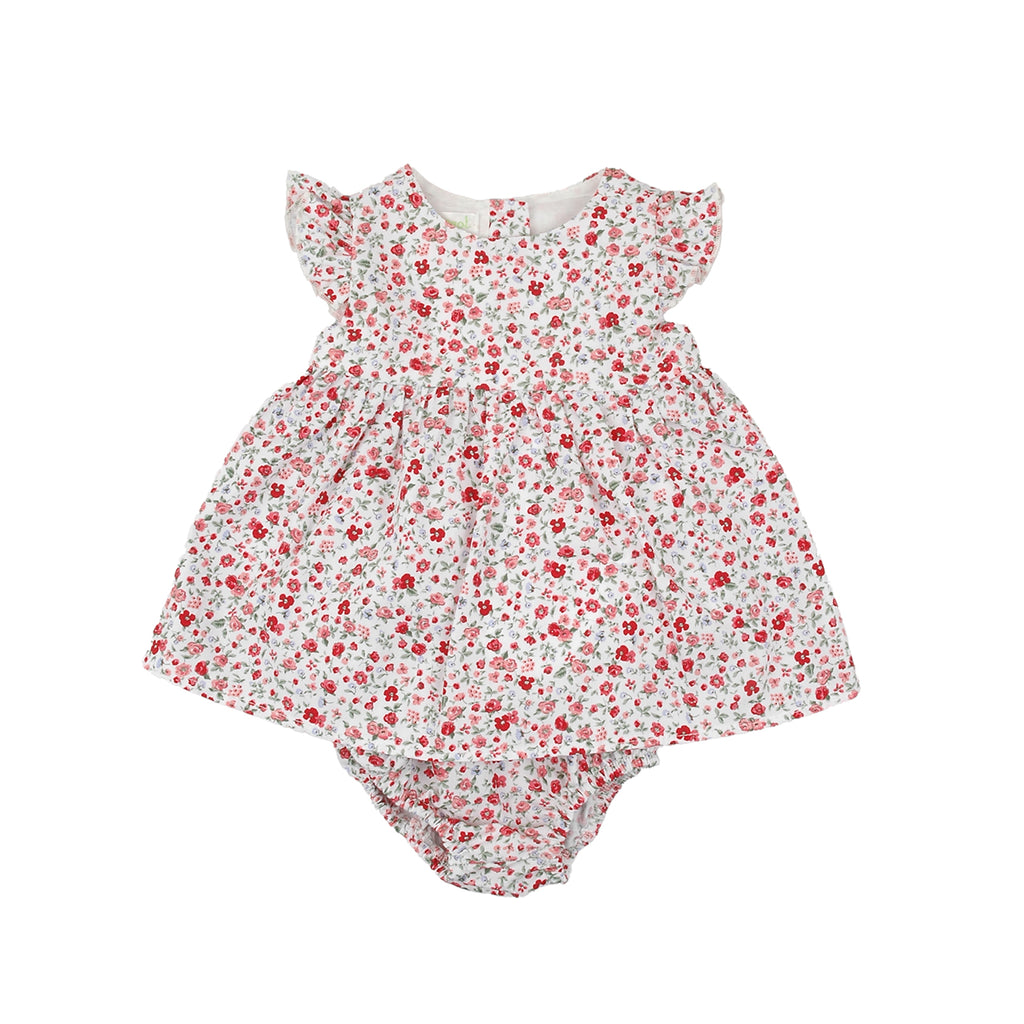 Babybol Floral Dress & Pants Set