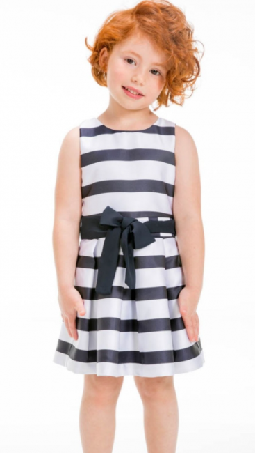 UBS2 Navy Stripe Dress